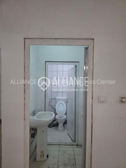 ZONA INDUSTRIALA (COD04)-Hala 270 mp ideal service auto - 8