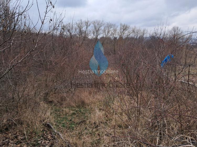 1644mp teren intravilan pentru constructii, Barnova. - 3