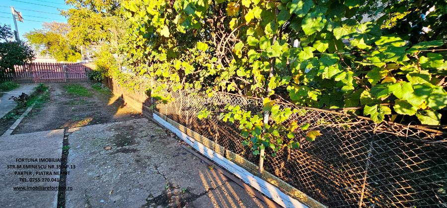 Proprietate situata la 10 minute de oras, com.Dumbrava Rosie - 13