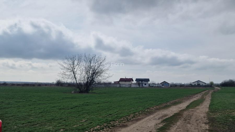 Loturi teren  construibil - 11