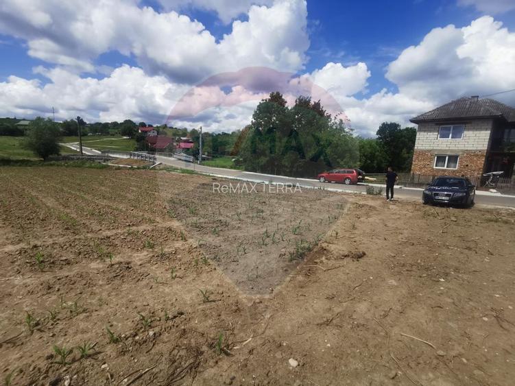DE VÂNZARE TEREN INTRAVILAN SAU PARCELA – Șomcuta Mare (0% comision) - 4