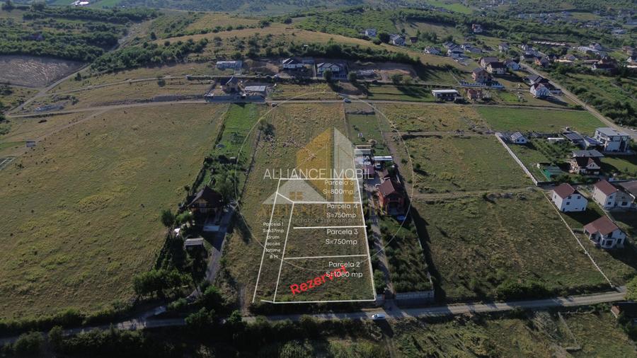 Teren de Vanzare Aleea Trifoiului - O Investitie in Viitorul Tau. - 3