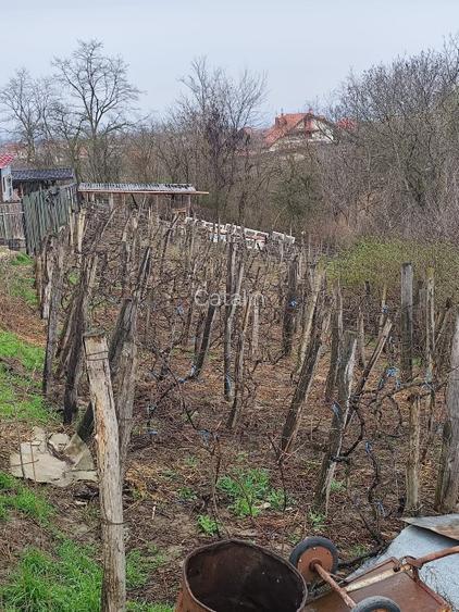 Teren intravilan construibil Măgura - 3