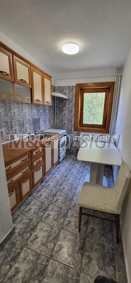 Etaj 1 apartament 1 camera Buziasului - 3