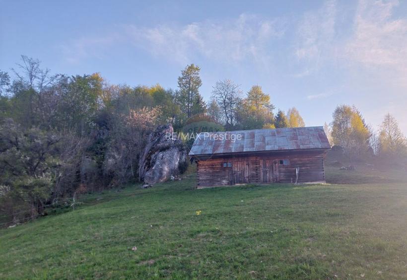 Teren intravilan panoramic în Peștera, Moieciu - 11048 mp - 6
