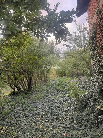 Casa ( modernizare sau demolare ) + teren generos - 4