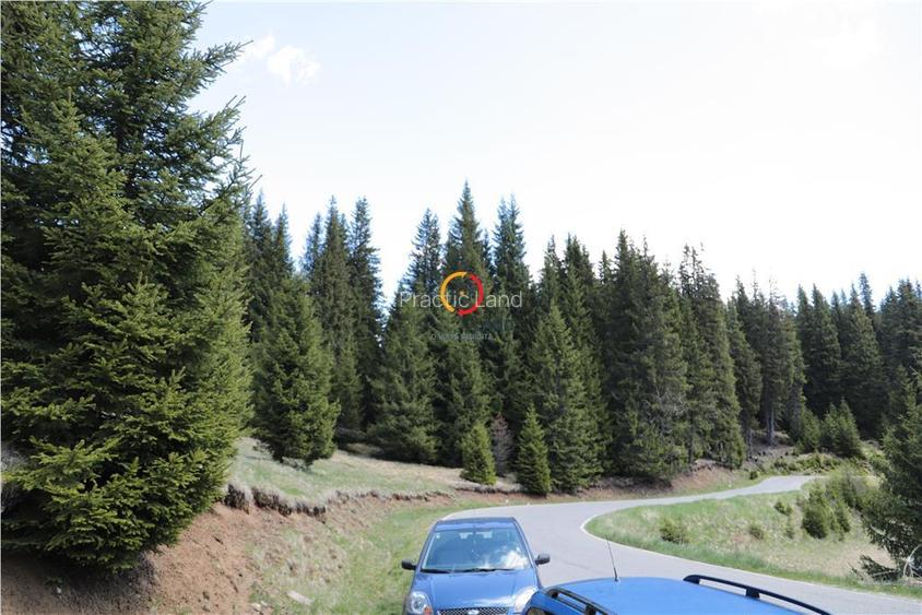 terenuri speciale Padina Busteni - 5