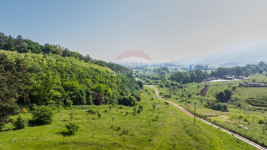 Teren 1.375 mp în Cristian, lângă Mănăstirea Sfântul Efrem cel Nou - 4