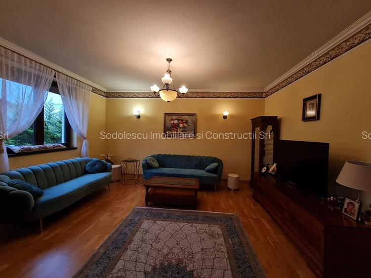 Poziție de top în Dumbravita - 20