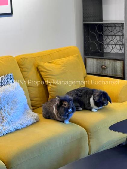 LUX INDUSTRIAL APARTMENT - CREDIT FRIENDLY - AM097-ET3 - 3