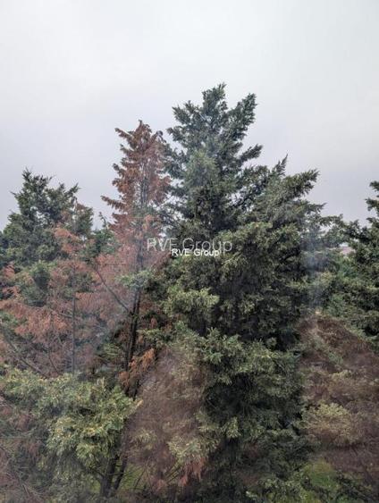 Ap. 2 Cam. (bloc nou, 47 mp, parcare inclusa) adiacent Sos. Oltenita - 8