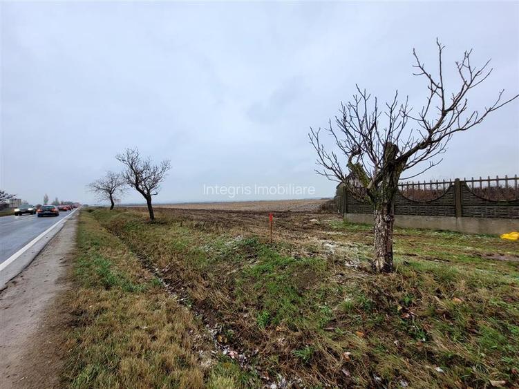 Teren intravilan,Calea Aradului,zona aeroport, Oradea - 4