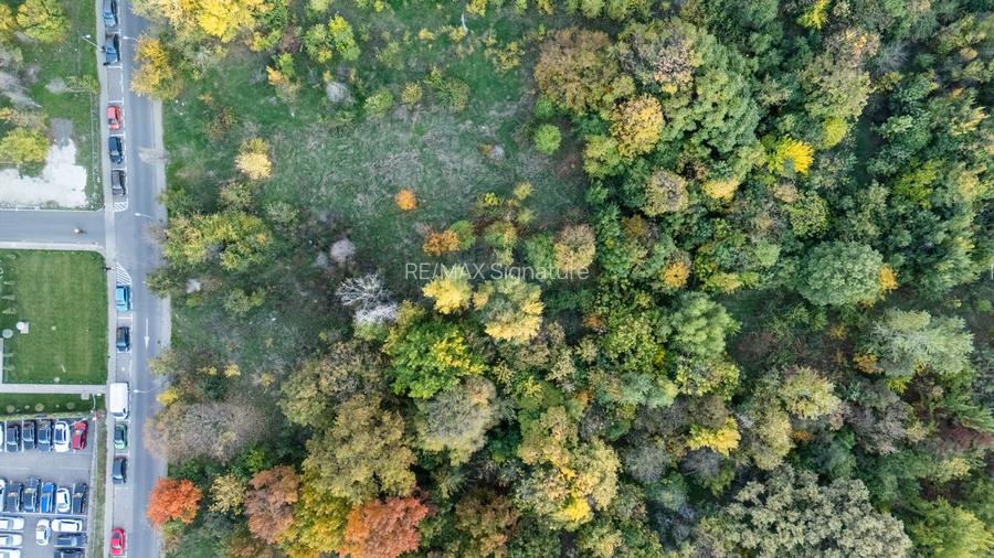 Vanzare Teren 1,800mp Vacaresti-Tinetretului - 9