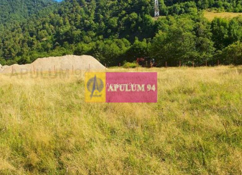 Teren Județul Vâlcea - Brezoi, Valea lui Stan - 18