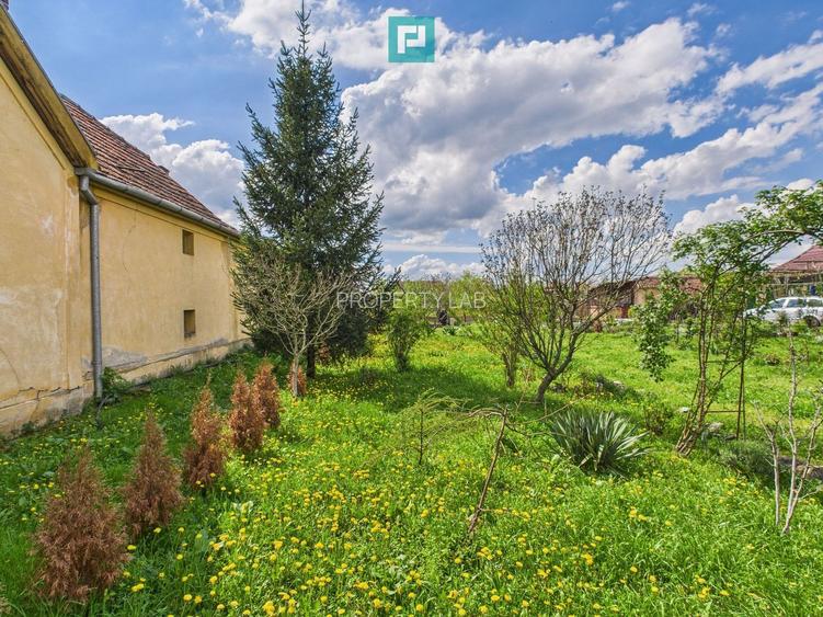 Casă individuală la Beregsău Mare, 2890 mp teren - 28