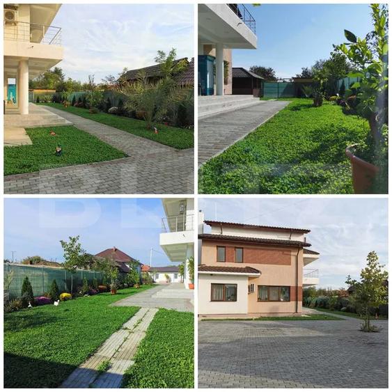 Pensiune Clasificată 3 Margarete, 458 mp, Goicea, Dolj
