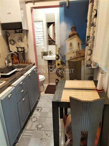 Apartament zona Ultracentrala pretabil regim hotelier - 8