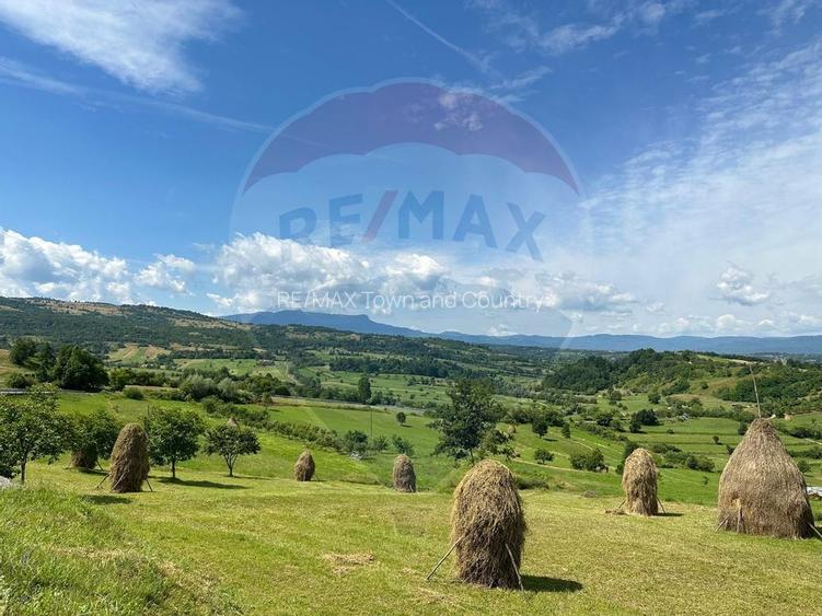 Vânzare ansamblu de 5 căsuțe tradiționale Maramureș/ Botiza - 10