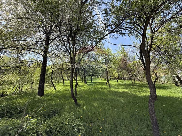 Casă  de vânzare în zona Câmpulung înconjurată de natura - 14
