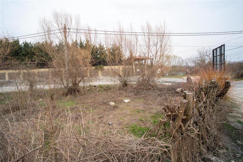 Teren intravilan de 900 mp, Podgoria - 5