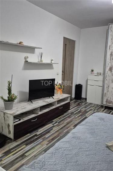 Apartament mobilat utilat- Nicolina - 2