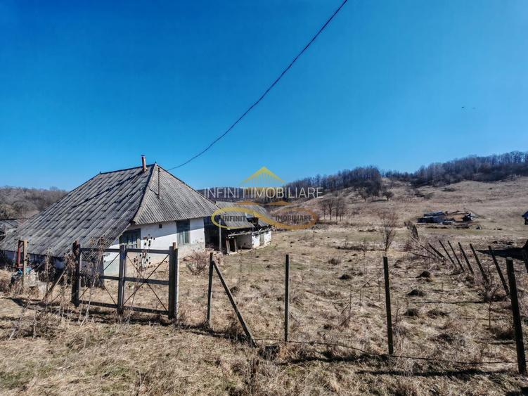 Vand teren intravilan Stejaru Bacau - 2