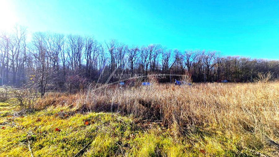 Teren intravilan, 2 fronturi, Drumul Padurea Pustnicu 65 - Greenfield - 17