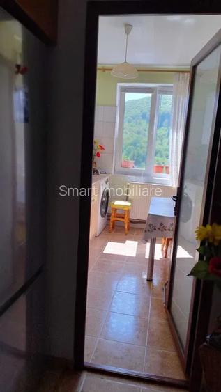 Apartament 3 camere Noua - 2