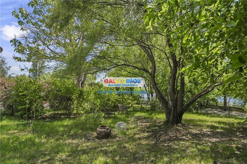 Vanzare vila Lacul TEI  PETRICANI INSULA  LAC 1900 MP TEREN - 6