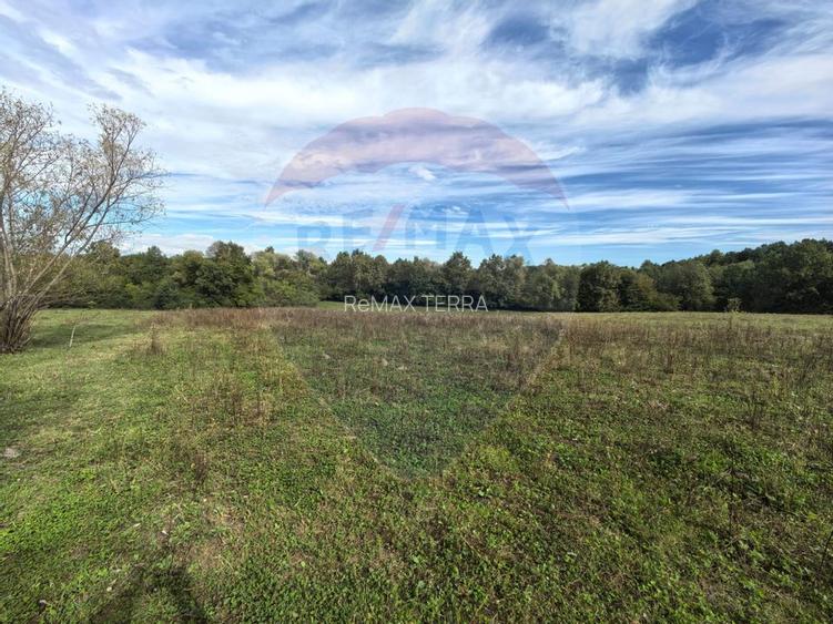 Teren 5,600mp Finteusu Mic / Strada Principala - 8