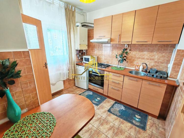 2 camere, spatios, modern, luminos, Plopilor, USAMV, BT Arena - 5