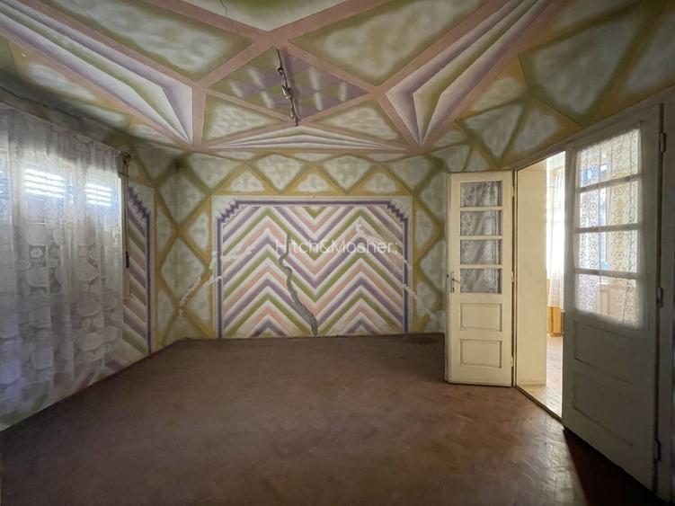 De vanzare proprietate in Belint, jud. Timis – 2 case si teren 7.805 mp - 13