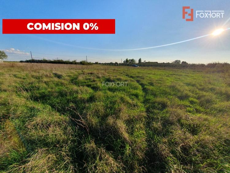 Teren intravilan de 3346 mp cu 2 fronturi - Jebel - 7