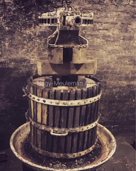 Investiție rară în Bihor - 9