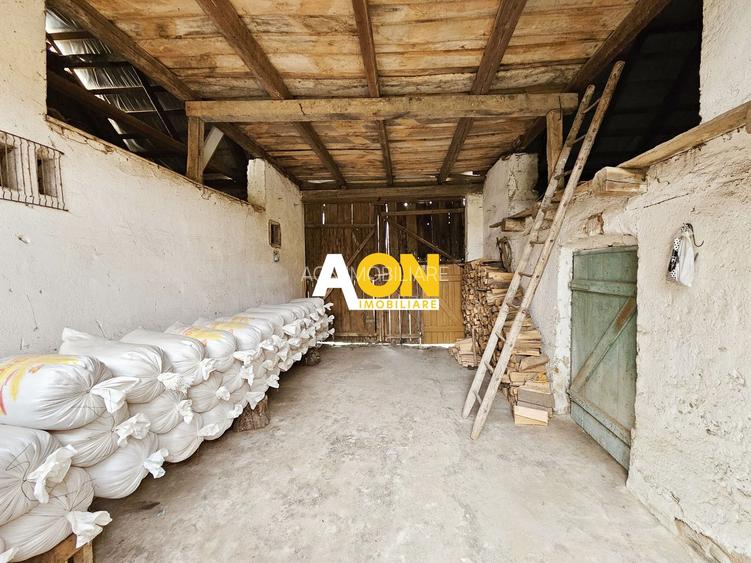 Casa cu 4 camere, 2024 mp teren, la asfalt, cu utilitati, Vintu de Jos - 20