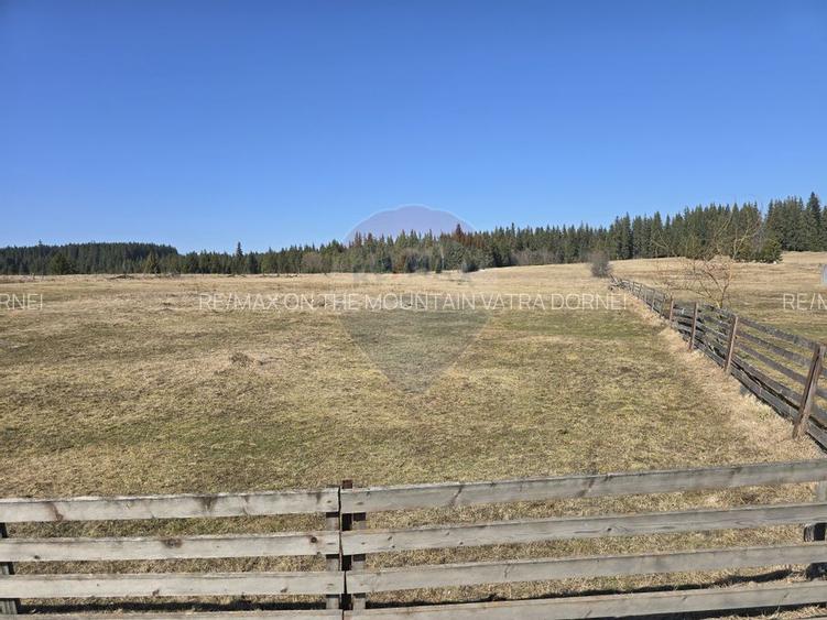 Teren 23,765mp Poiana Stampei / Strada CASOI - 4