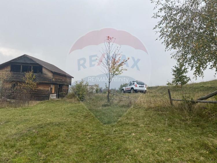 Teren de vanzare 8119 mp Calatele Padure.Muntii Apuseni - 21