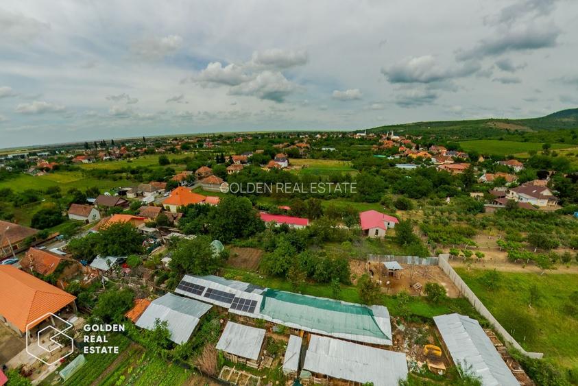 Afacere la cheie: Pensiune functionala sau casa de locuit, Ghioroc - 57