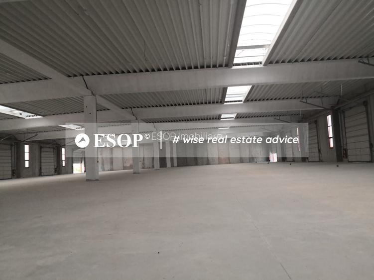 Hale industriale, parc modern, Rudeni, Chitila, Ilfov- ID 15462 - 6