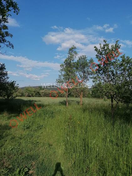 De vânzare teren intravilan în Estelnic! - 6