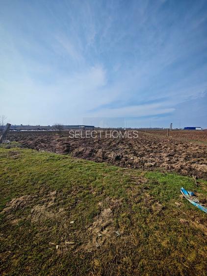 Teren de Vanzare Industrial Caciulati A3 - 5