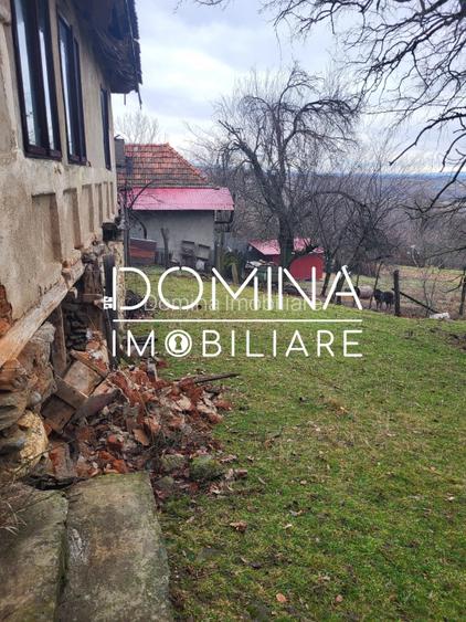 Teren generos 4790 mp + casă tradițională, în loc. Mușetești - 7