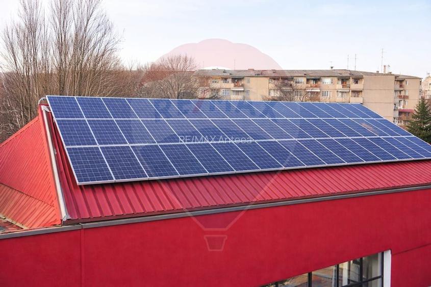 BEST DEAL! Energie gratis 500 mp Teiul Doamnei - 2