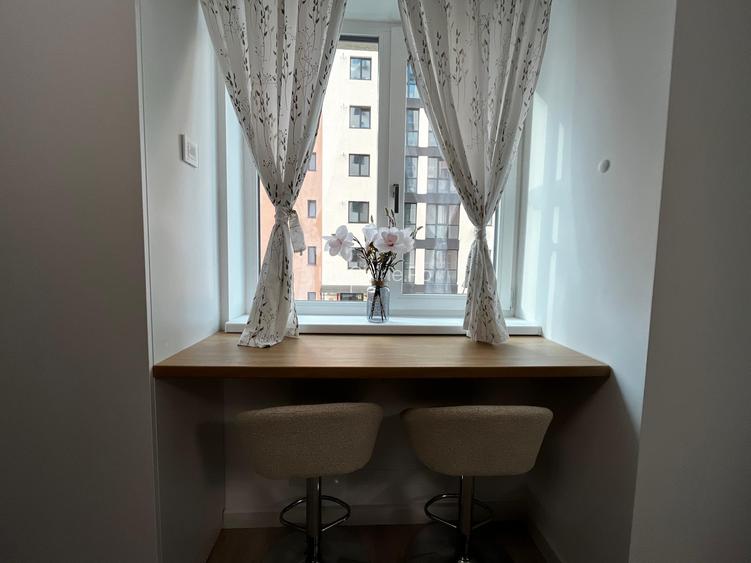 Apartament de inchiriat, o camera, Open space, 35 mp, Lunca Cetatuii - 13