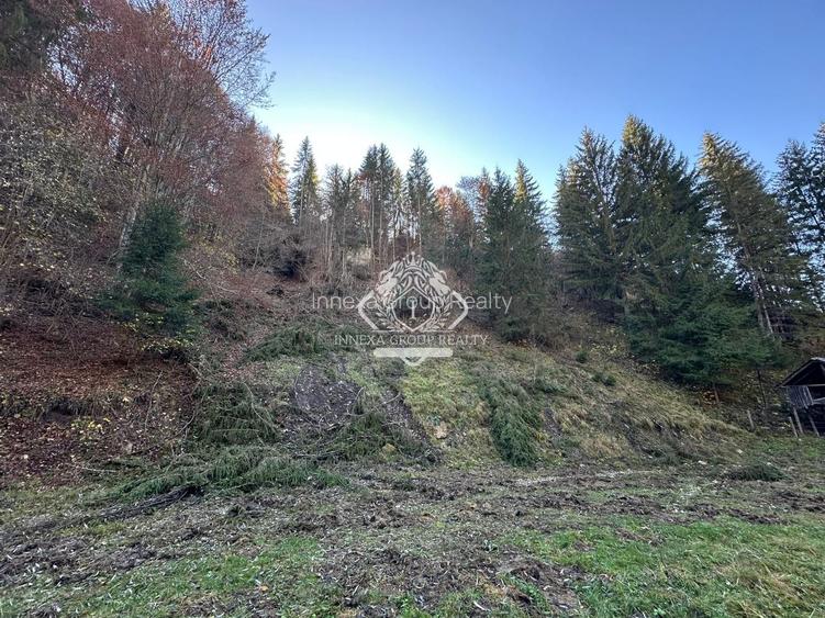 Teren 2.882 mp – oportunitate investitie - Cheile Dâmbovicioarei - 2