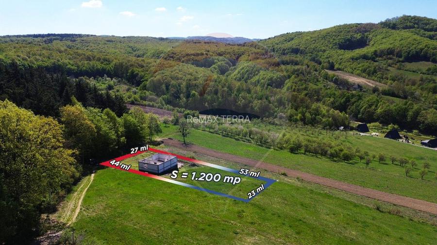 Proprietate de vanzare langa liziera pădurii Coas - 5