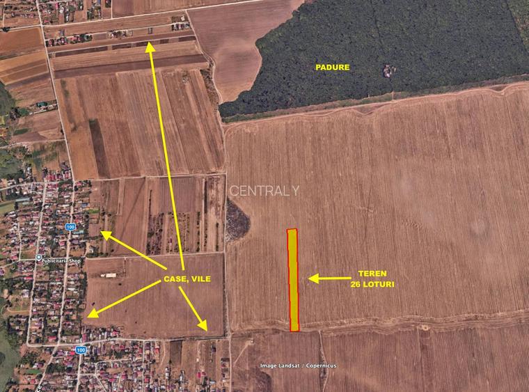 PROMOTIE SOC! teren intravilan Frumusani lângă București, pădure, RATE - 3