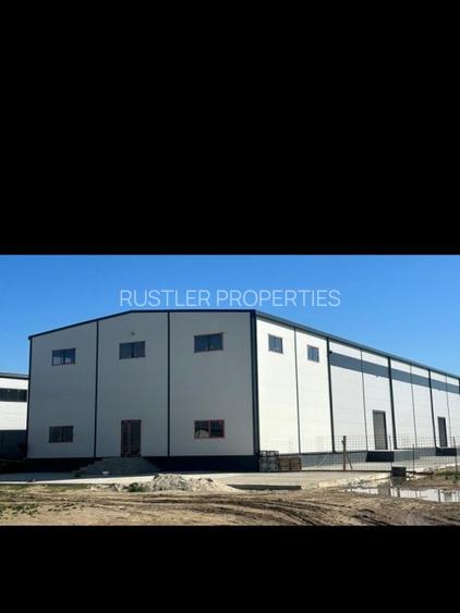 Hala de vanzare la ieșirea din București - 6