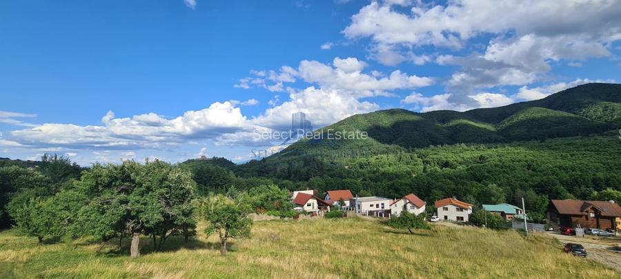 Parcele Teren cu PUZ si toate utilitatile / Cisnadioara-Sibiu - 8