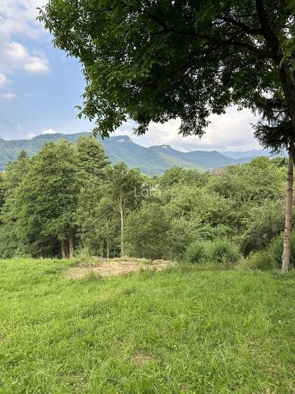 Teren  Bran/Predelut - 6